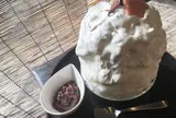 雪うさぎ