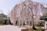 高台寺