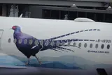 関西空港立体駐車場