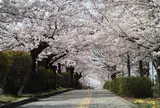 城山公園