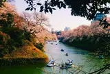 千鳥ヶ淵