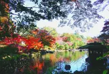 成田山公園