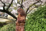 株式会社柿安本店