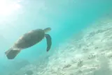 渡嘉志久ビーチ