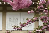 醍醐寺