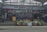 あしかがフラワーパーク
