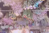 フラワースタイル・ラズリ
