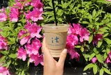 it COFFEE