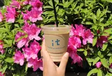 it COFFEE