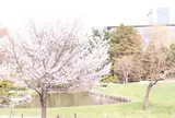 中島公園