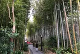 竹林の小径