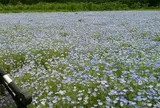 富田さとにわ耕園