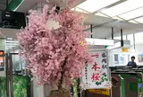 盛岡駅