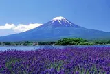 大石公園