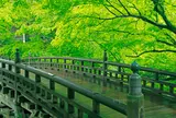 こおろぎ橋