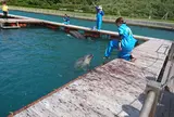 かつもとイルカパーク
