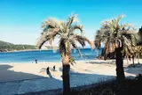 ダグリ岬海水浴場