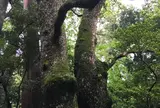 伊勢神宮