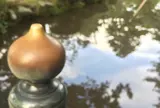 兼六園