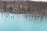 青い池