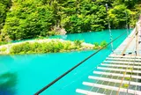 夢の吊橋