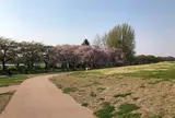 北上市立公園展勝地