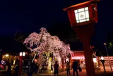 平野神社