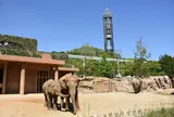 東山動物園