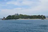 桂浜