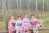 竹林の小径