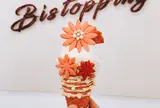 Bistopping