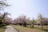 舞鶴公園