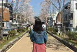 段葛