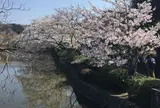 鶴岡八幡宮