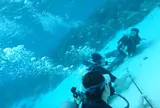 体験ダイビング