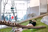 アドベンチャーワールド