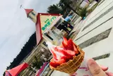 南阿蘇自然派ソフト