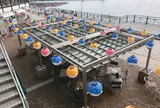 唐戸市場