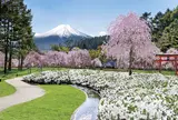 忍野 しのびの里