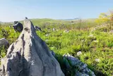 秋吉台