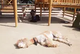 那須りんどう湖レイクビュー