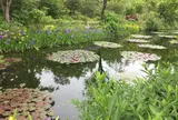 北川村「モネの庭」マルモッタン
