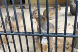 五桂池ふるさと村