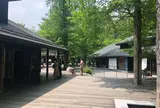 ハルニレ テラス