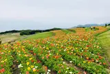 あわじ花さじき