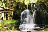 青葉の滝