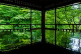 瑠璃光院