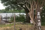 矢切の渡し