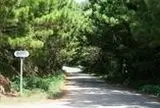 おばけ坂