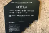 あなごのねどこ
